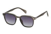 GREY TRANSPARENT