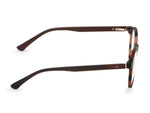 Classic Tortoiseshell