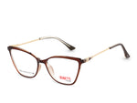 Translucent Brown Tortoise