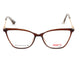 Translucent Brown Tortoise