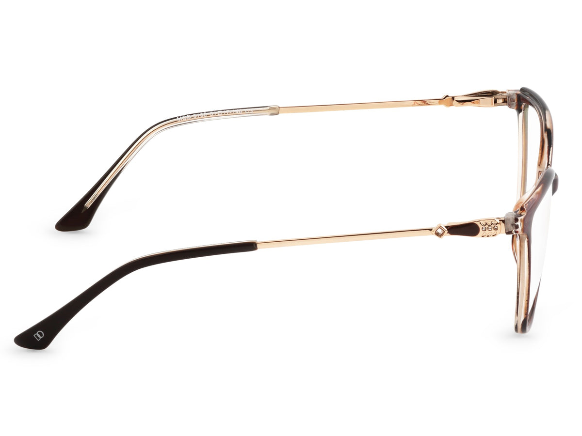 Translucent Brown Tortoise
