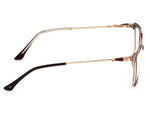 Translucent Brown Tortoise