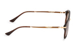 BROWN WITH GOLD