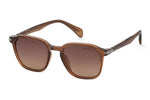 BROWN TRANSPARENT