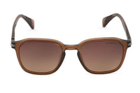 BROWN TRANSPARENT