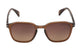 BROWN TRANSPARENT