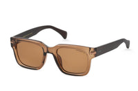 BROWN TRANSPARENT