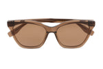 BROWN TRANSPARENT
