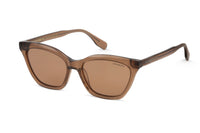 BROWN TRANSPARENT