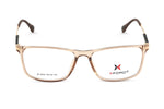 BROWN TRANSPARENT