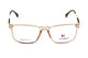 BROWN TRANSPARENT