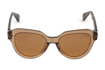 BROWN TRANSPARENT