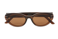 BROWN TRANSPARENT