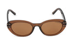 BROWN TRANSPARENT