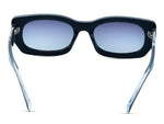 Matte Black with Crystal Clear Temples