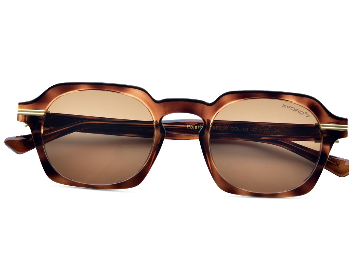 Transparent Brown Tortoise