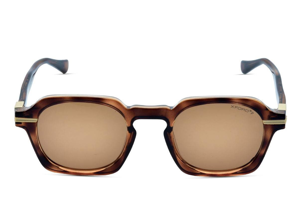 Transparent Brown Tortoise