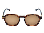Transparent Brown Tortoise