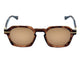 Transparent Brown Tortoise
