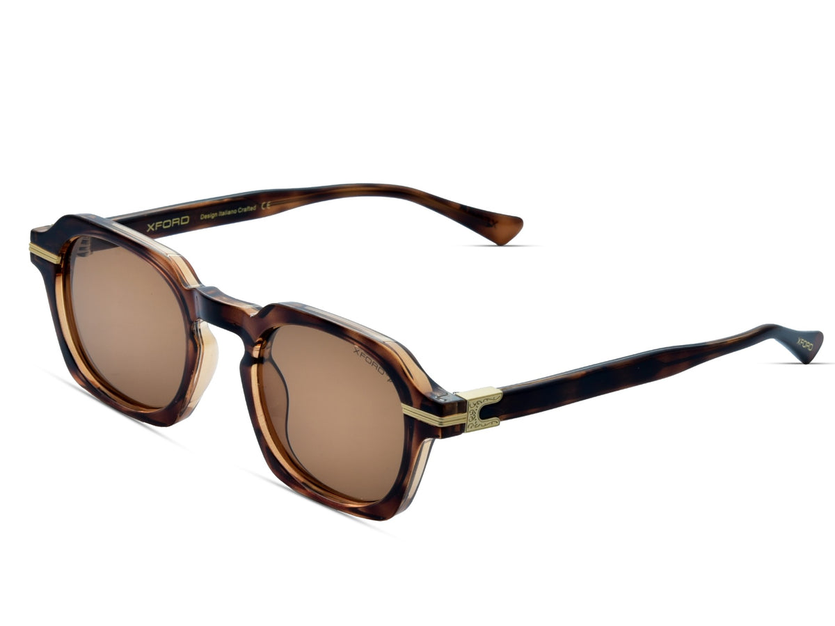 Transparent Brown Tortoise