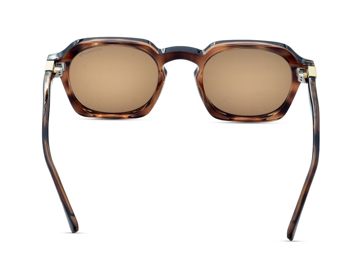 Transparent Brown Tortoise