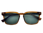 Transparent Amber Brown