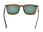 Transparent Amber Brown