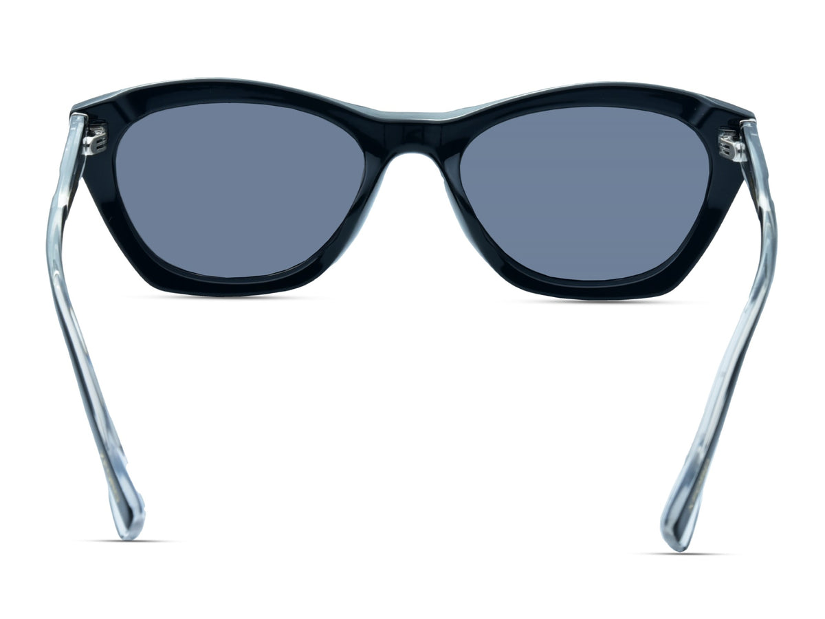 Matte Black with Crystal Clear Temples