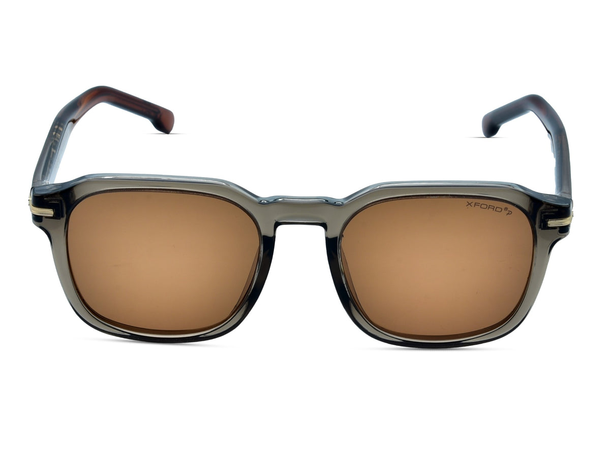 Transparent Grey with Brown Temples