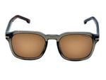 Transparent Grey with Brown Temples