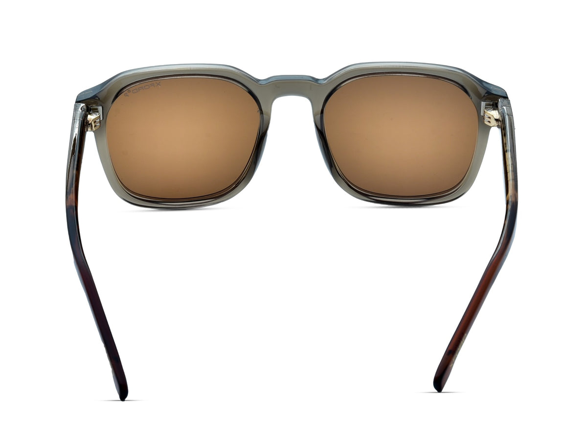 Transparent Grey with Brown Temples