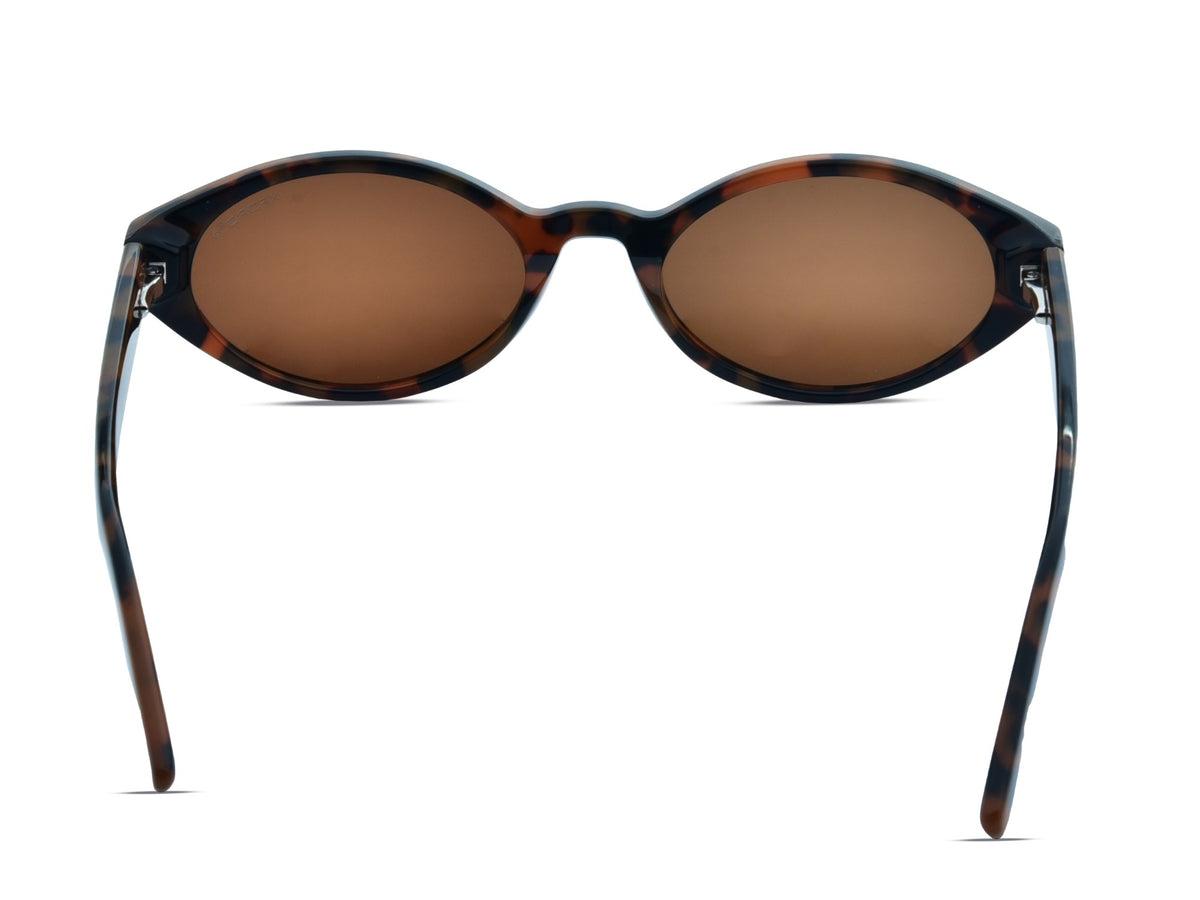 Glossy Tortoiseshell	