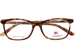 Glossy Tortoise Shell