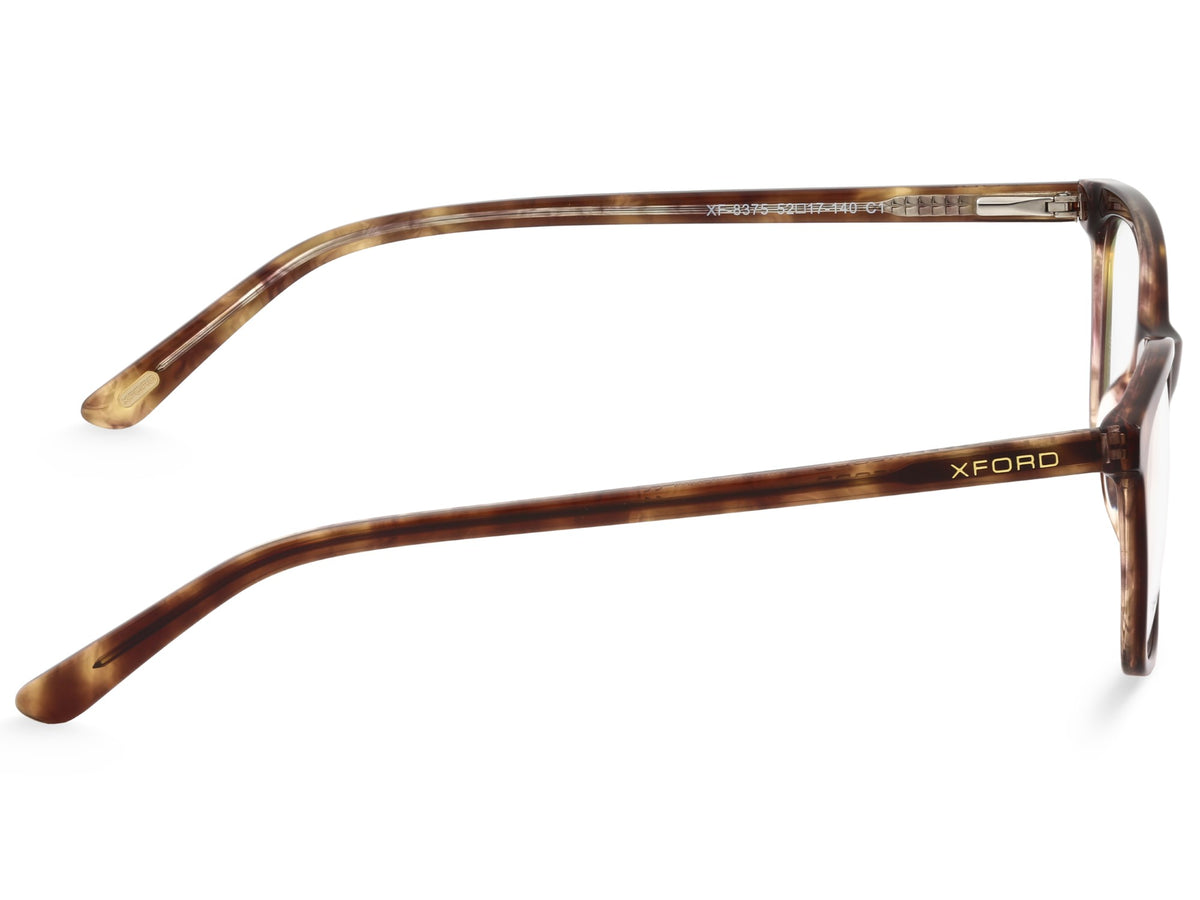 Glossy Tortoise Shell