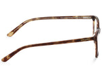 Glossy Tortoise Shell