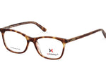 Glossy Tortoise Shell