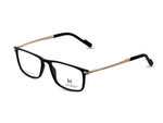Glossy Black with Polished Gold Temples