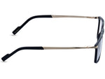Glossy Black with Polished Gold Temples