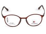 Matte Demi Brown Tortoise Shell