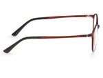 Matte Demi Brown Tortoise Shell