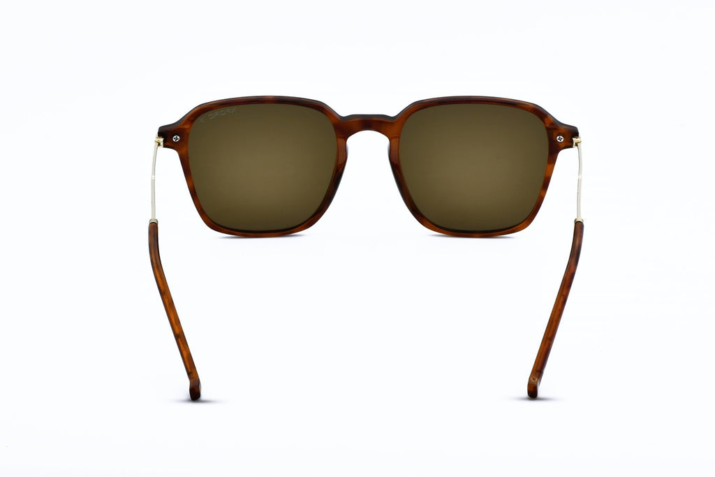 XFORD XFSG-831 Square Sunglasses UNISEX