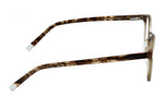 TRANSPARENT BROWN