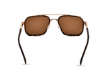 ortoiseshell Brown & Gold