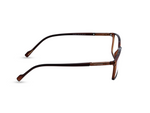 Transparent Brown