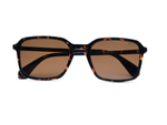 Glossy Tortoiseshell