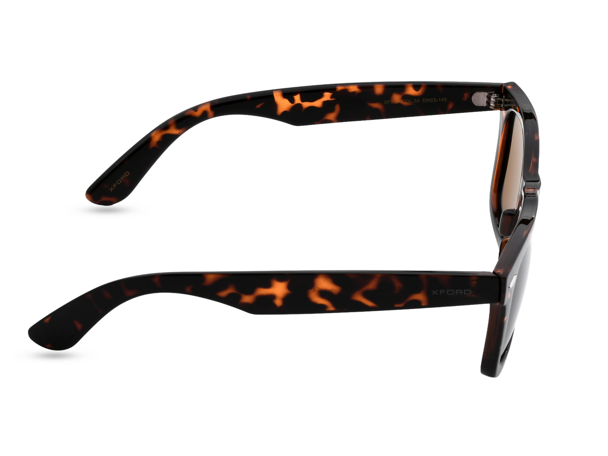 Black Tortoiseshell	