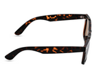 Black Tortoiseshell	