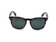 Glossy Tortoise Shell
