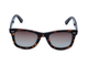 Glossy Tortoiseshell