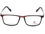 Tortoise Brown with Copper Brown Temples.